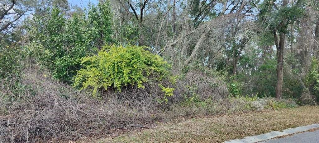 204 ADELPHI STREET, INVERNESS, FL — photo 5 of 9