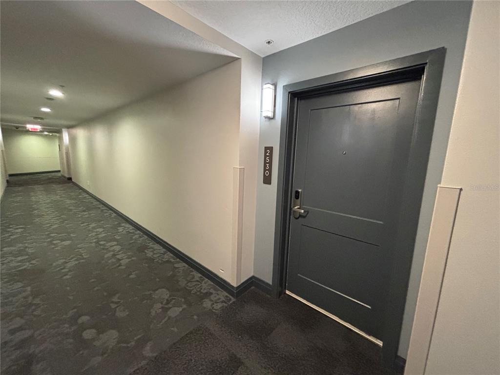 A gray apartment door with the number 2530 is located in a carpeted hallway — 14501 GROVE RESORT AVENUE UNIT 2530, WINTER GARDEN, FL