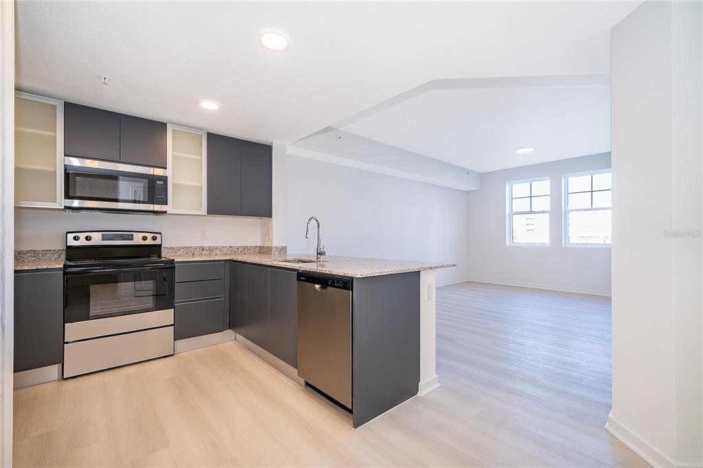 A modern kitchen with dark gray cabinets and granite countertops opens into a bright living area — 5579 MILLENIA PARK BOULEVARD UNIT 219, ORLANDO, FL