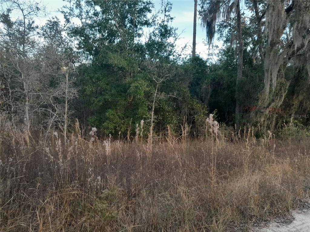 1531 NE 123RD AVENUE, WILLISTON, FL — photo 2 of 4