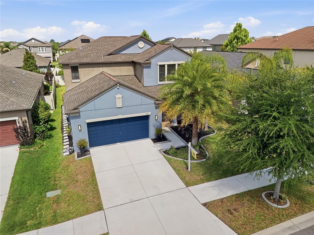 An aerial view of a two-story blue house with a two-car garage and palm tree — 13917 ROSEATE TERN LANE, RIVERVIEW, FL