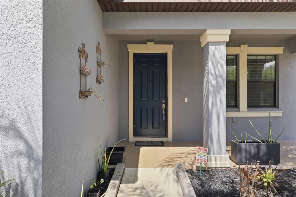 A front entryway features a dark blue door, a concrete walkway, and potted plants — 13917 ROSEATE TERN LANE, RIVERVIEW, FL