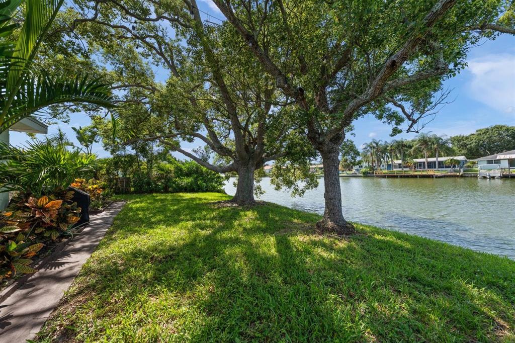 A grassy backyard with large trees overlooks a canal with houses on the opposite shore — 4114 SUNRAY DRIVE, HOLIDAY, FL