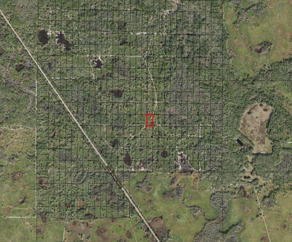 This is an aerial map showing a small red-outlined plot within a large wooded area — 0 County Rd 54, FL 33849, FL