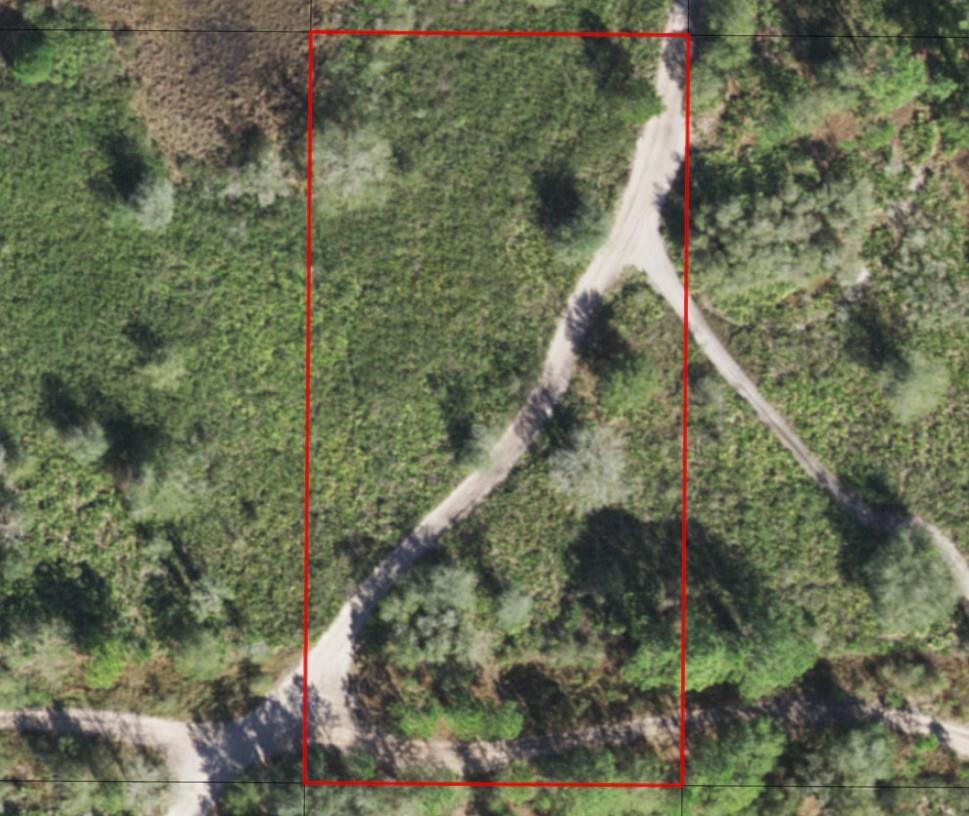 An aerial view of a rectangular plot of land featuring a dirt road intersection — 0 County Rd 54, FL 33849, FL