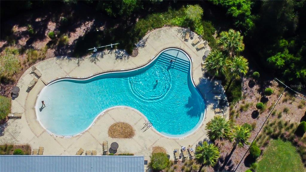 An aerial view shows a curved swimming pool with a stone deck and surrounding landscaping — 6362 SPIDER LILY WAY, NEW PORT RICHEY, FL