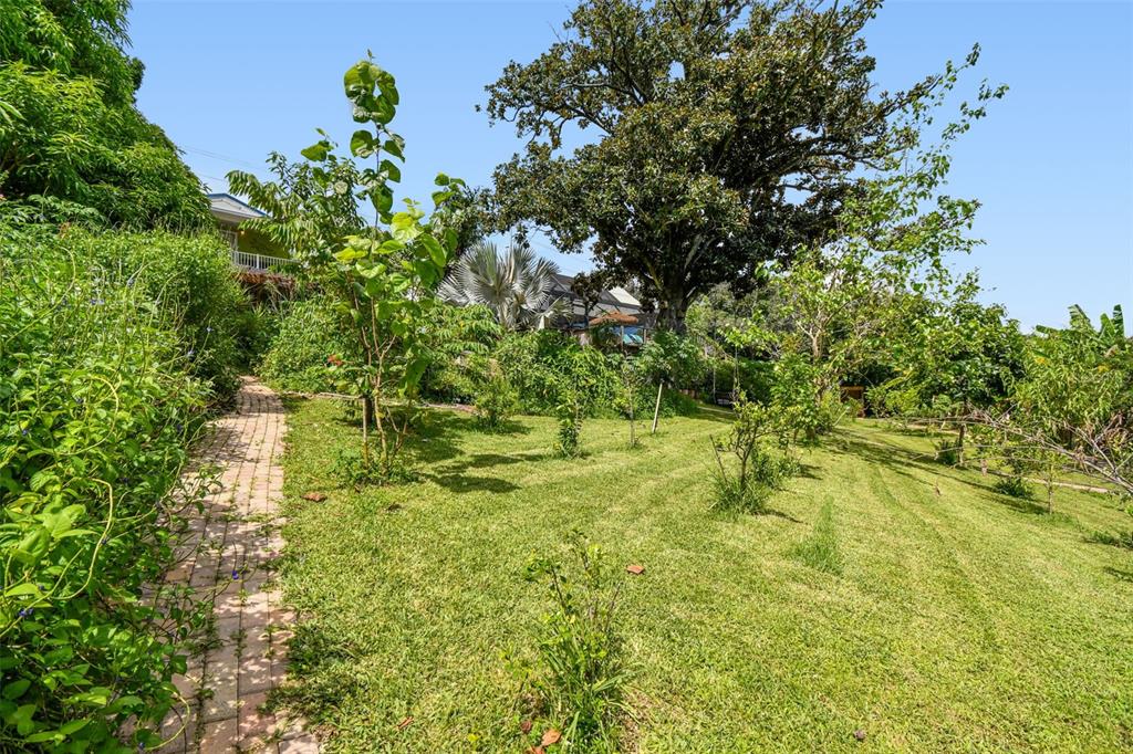 A brick path winds through a grassy yard with trees and lush landscaping toward a house — 3203 E YUKON STREET, TAMPA, FL