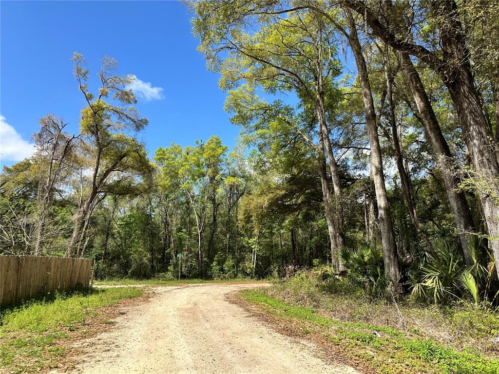A dirt road leads toward a dense forest under a clear blue sky — tbd SW 5TH LANE, OCALA, FL