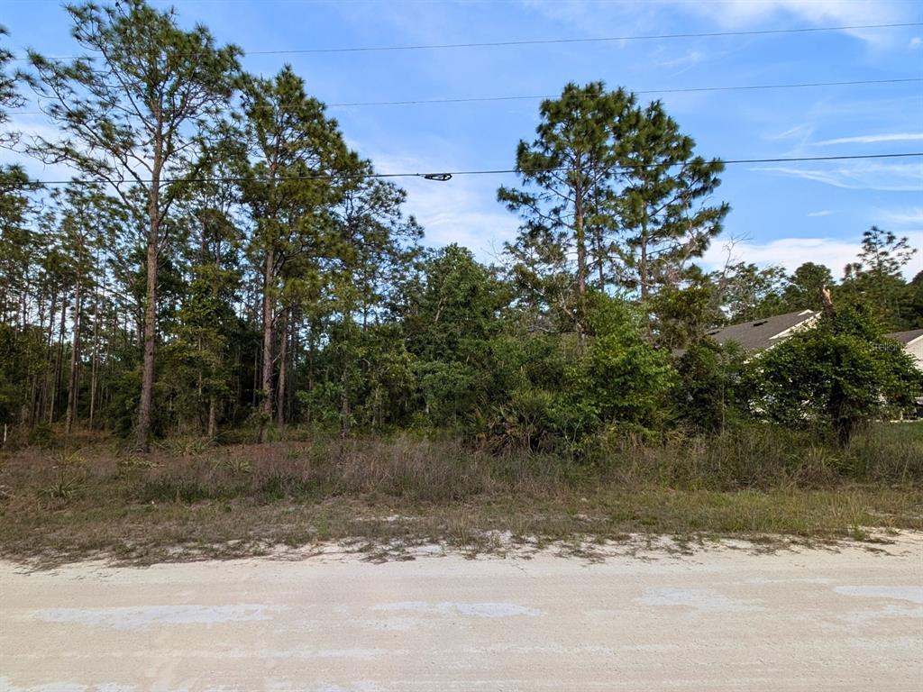A vacant, wooded residential lot sits behind a sandy road under a blue sky — 15252 COOT ROAD, BROOKSVILLE, FL