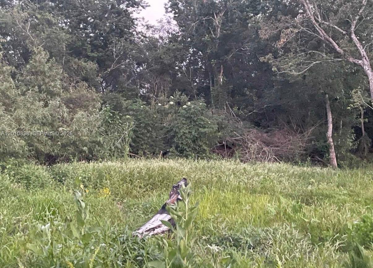A grassy field leads to a dense line of trees and brush — 845 N Verda St, Clewiston FL 33440, CLEWISTON, FL