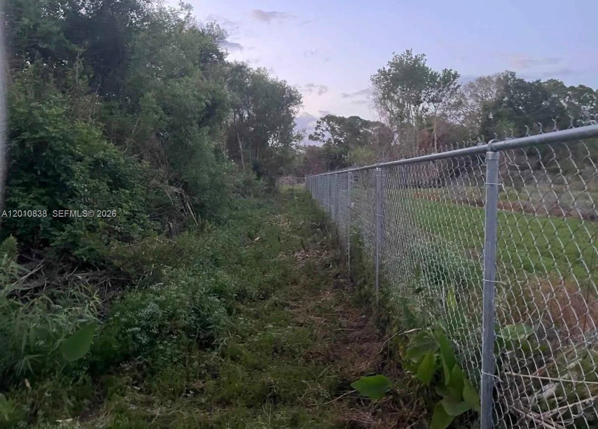 A chain-link fence runs alongside a narrow, overgrown path bordered by dense trees and brush — 845 N Verda St, Clewiston FL 33440, CLEWISTON, FL