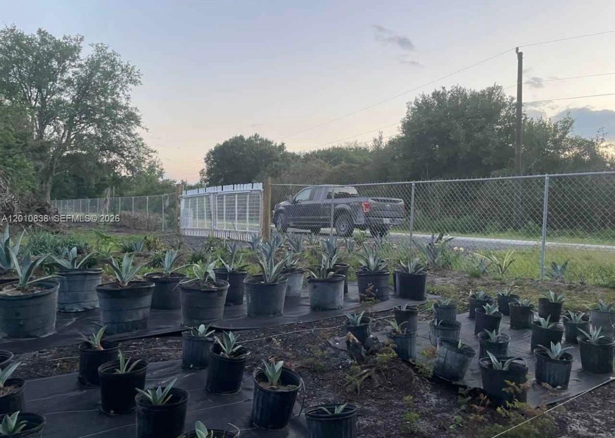 A field of potted agave plants sits in front of a chain-link fence and truck — 845 N Verda St, Clewiston FL 33440, CLEWISTON, FL