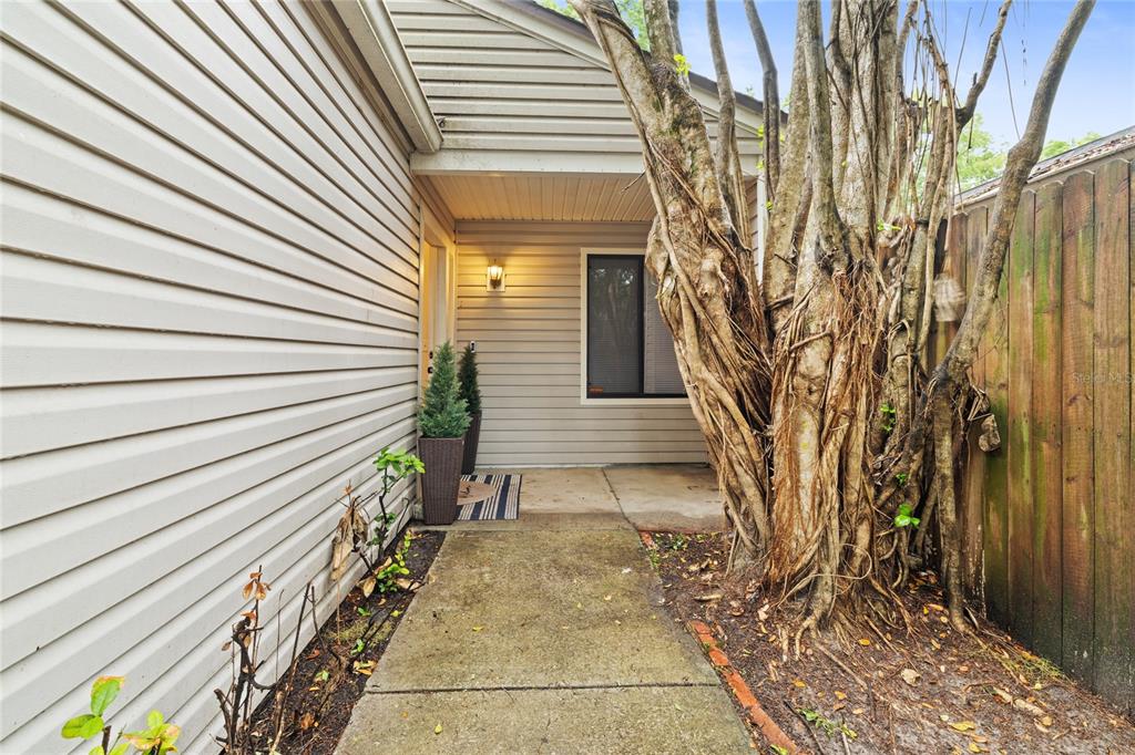 A concrete walkway leads to the front entrance of a house with light-colored siding — 335 KIRKCALDY DRIVE, WINTER SPRINGS, FL