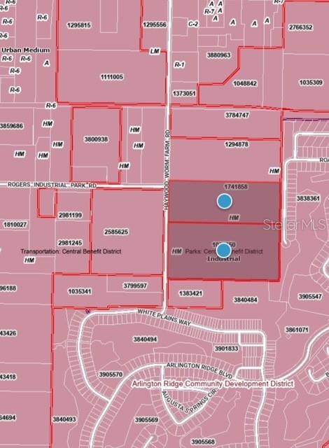 This is a land use and zoning map showing parcel boundaries and identifiers — HAYWOOD WORM FARM ROAD, LEESBURG, FL