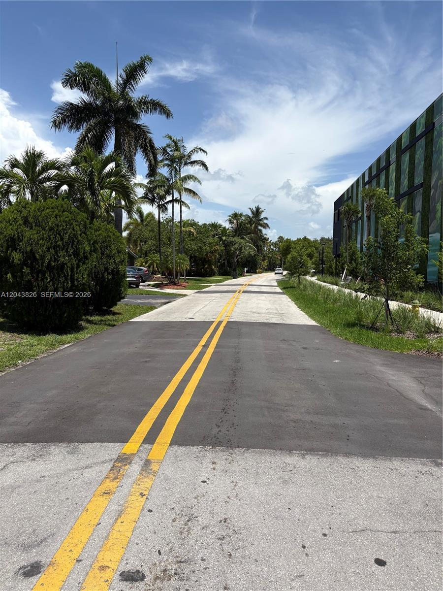 A paved road with double yellow lines leads toward palm trees and a modern building — 3397 NE 20th Ave, Oakland Park FL 33306, OAKLAND PARK, FL