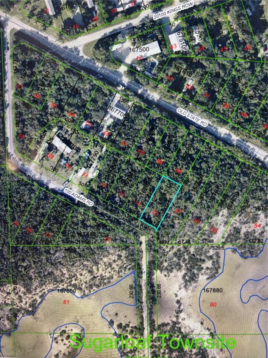 This is an aerial map showing property lot lines and parcel numbers in a wooded area — LOWER KEYS, FL