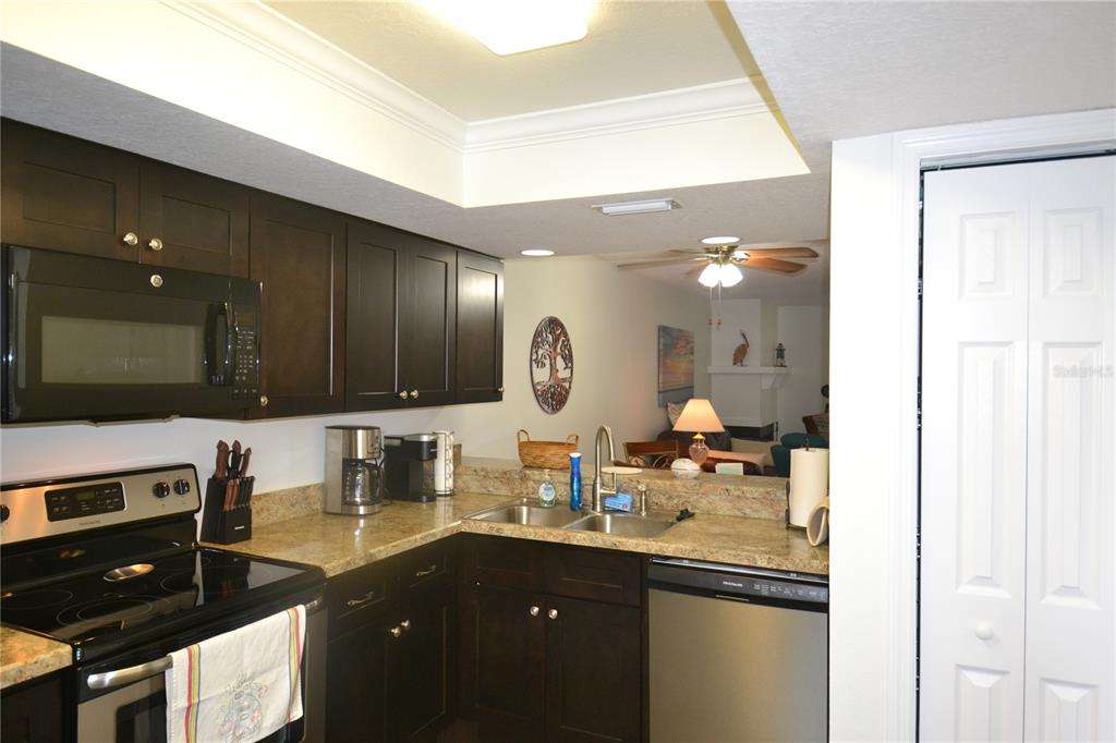 A kitchen features dark wood cabinets, granite countertops, stainless steel appliances, and a pass-through window — 161 LAKESIDE DRIVE, OLDSMAR, FL