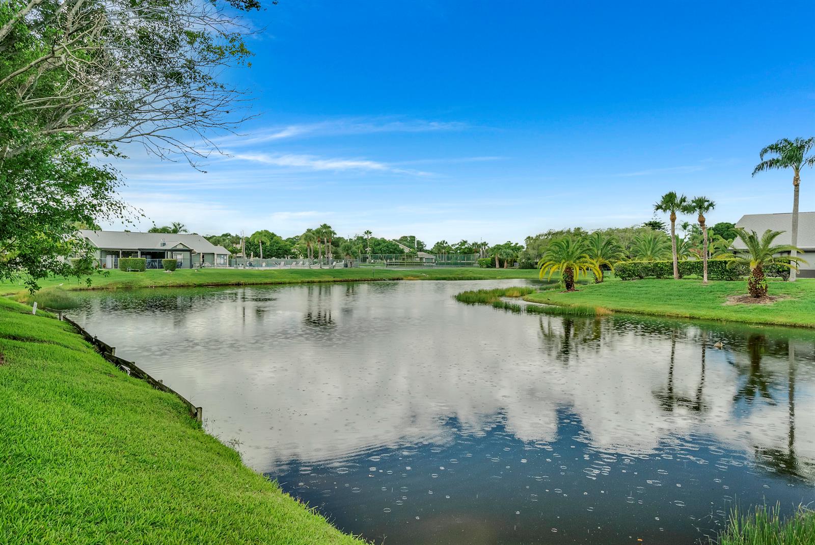 A pond sits in front of a grassy lawn with palm trees and distant buildings — PORT ST. LUCIE, FL