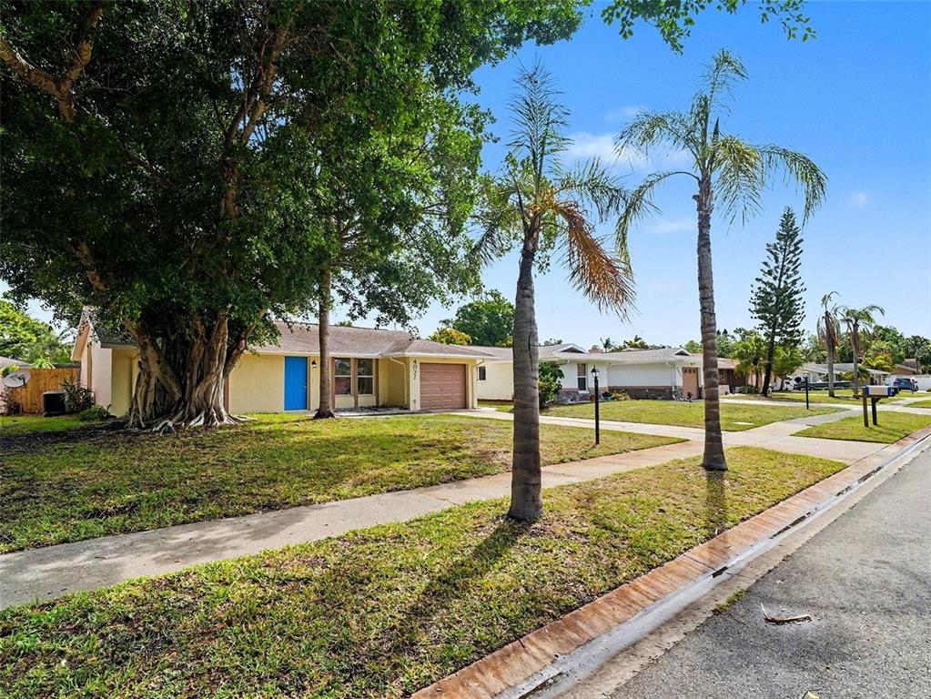 A single-story house with a blue door and a large tree in the front yard — 4037 MAVERICK AVENUE, SARASOTA, FL