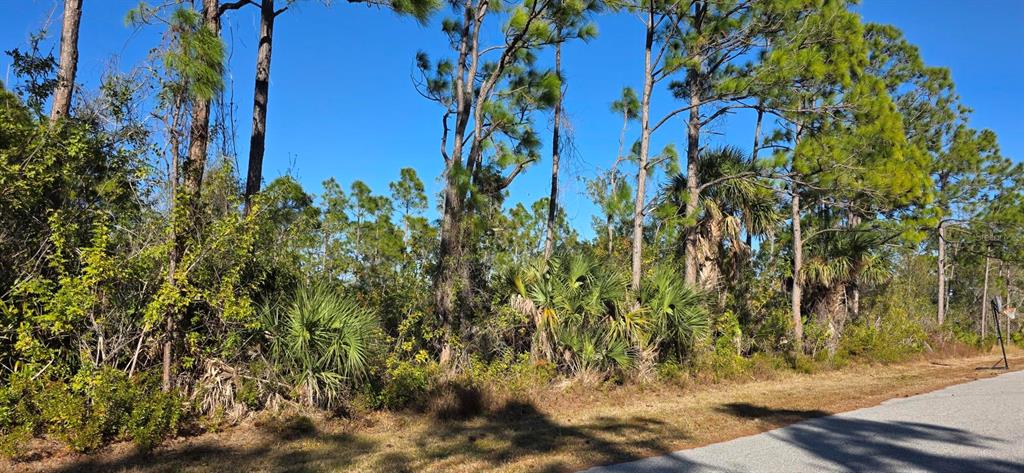 A wooded, undeveloped lot with pine trees and palmettos borders a paved residential street — 12054 KELLER AVENUE, PORT CHARLOTTE, FL