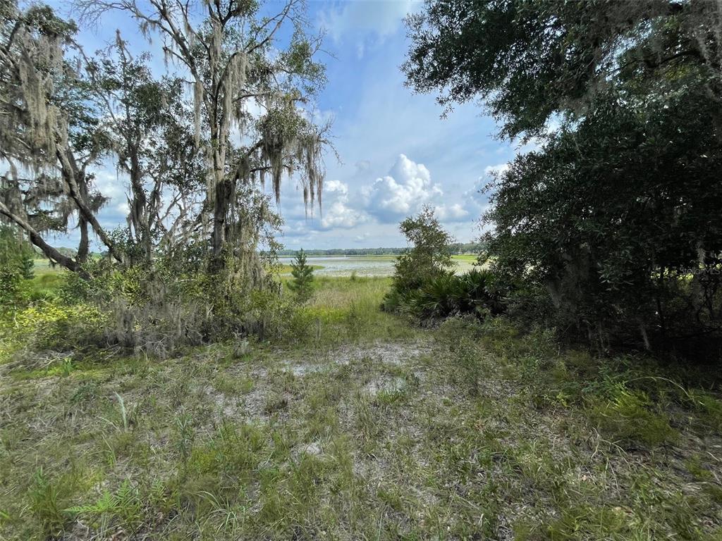 A view of a grassy, wooded lot leading toward a lake under a cloudy sky — LOTS 462 & 463 SW SHOREWOOD DRIVE, DUNNELLON, FL