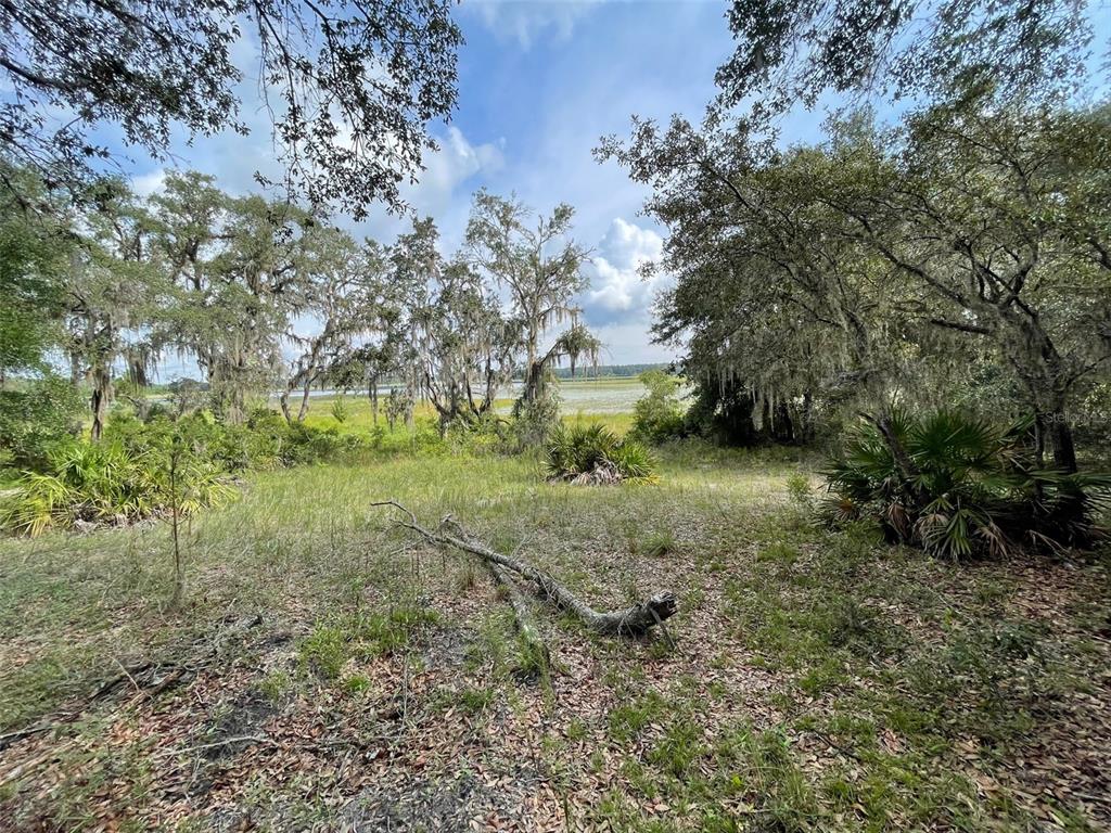 A grassy, wooded lot overlooks a marshy area under a blue sky with scattered clouds — LOTS 462 & 463 SW SHOREWOOD DRIVE, DUNNELLON, FL