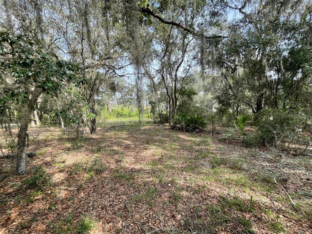 A wooded lot with scattered trees, Spanish moss, and low-lying vegetation under a bright sky — LOTS 462 & 463 SW SHOREWOOD DRIVE, DUNNELLON, FL