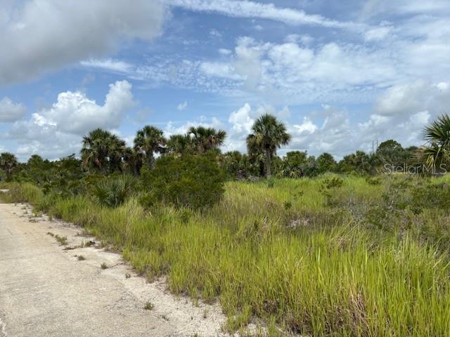 A vacant, grassy lot with scattered palm trees sits next to a paved road — 2934 WAKOW CIRCLE SW, PALM BAY, FL