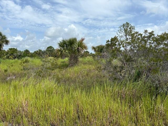 A grassy, undeveloped lot features scattered palm trees and shrubs under a cloudy blue sky — 2934 WAKOW CIRCLE SW, PALM BAY, FL