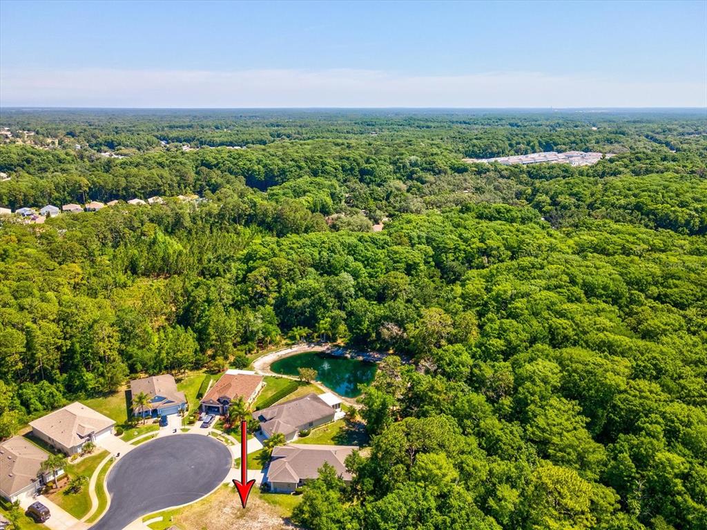 An aerial view shows a residential cul-de-sac with a vacant lot marked by an arrow — 11444 MERGANSER WAY, NEW PORT RICHEY, FL