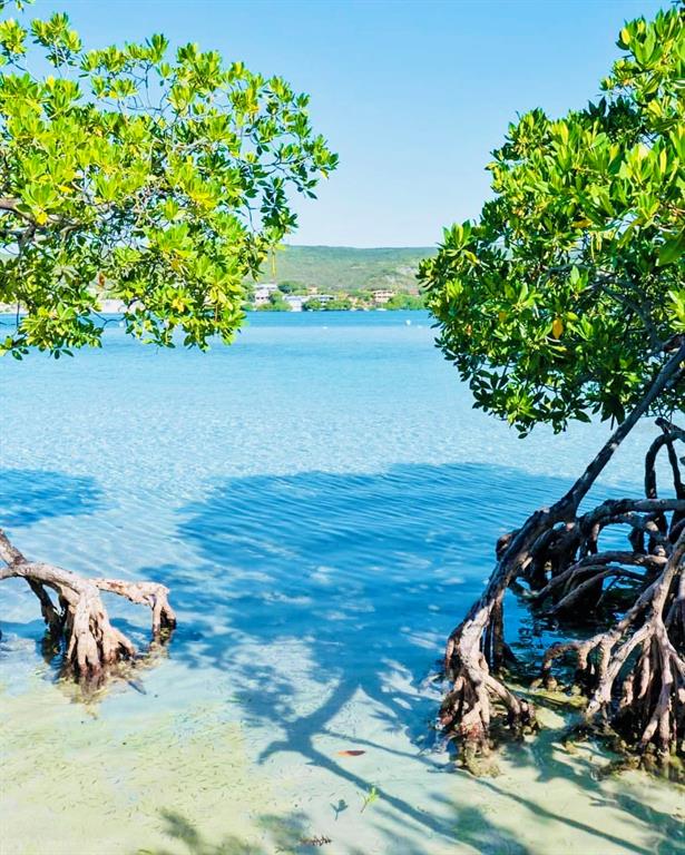 EL PITIRRE, GUANICA, PR — photo 3 of 22