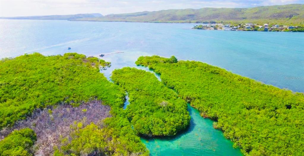 EL PITIRRE, GUANICA, PR — photo 5 of 22