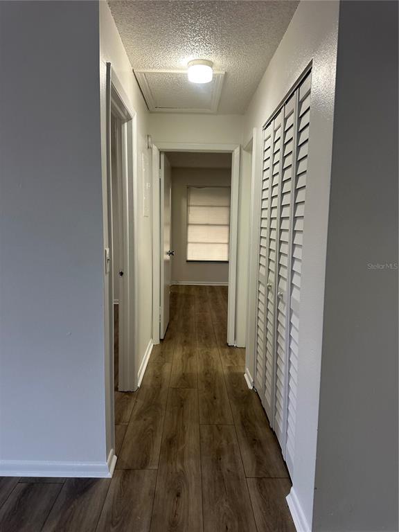 A hallway with wood-look flooring leads to a bedroom with a window and louvered closets — 8428 CAMDEN STREET UNIT C, TAMPA, FL