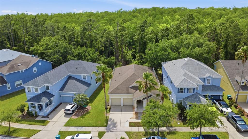 An aerial view shows three suburban houses with driveways bordering a dense forest — 9552 PICCADILLY SKY WAY, ORLANDO, FL