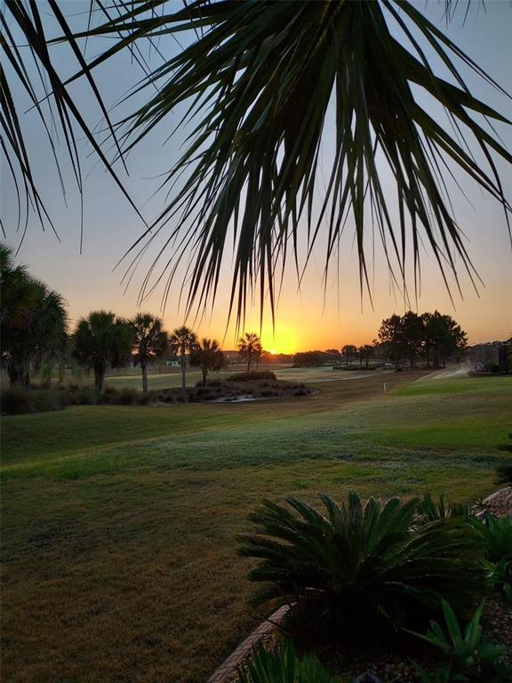 A view of a golf course at sunset framed by palm fronds and landscaping — TBD SE 58TH AVENUE, OCALA, FL