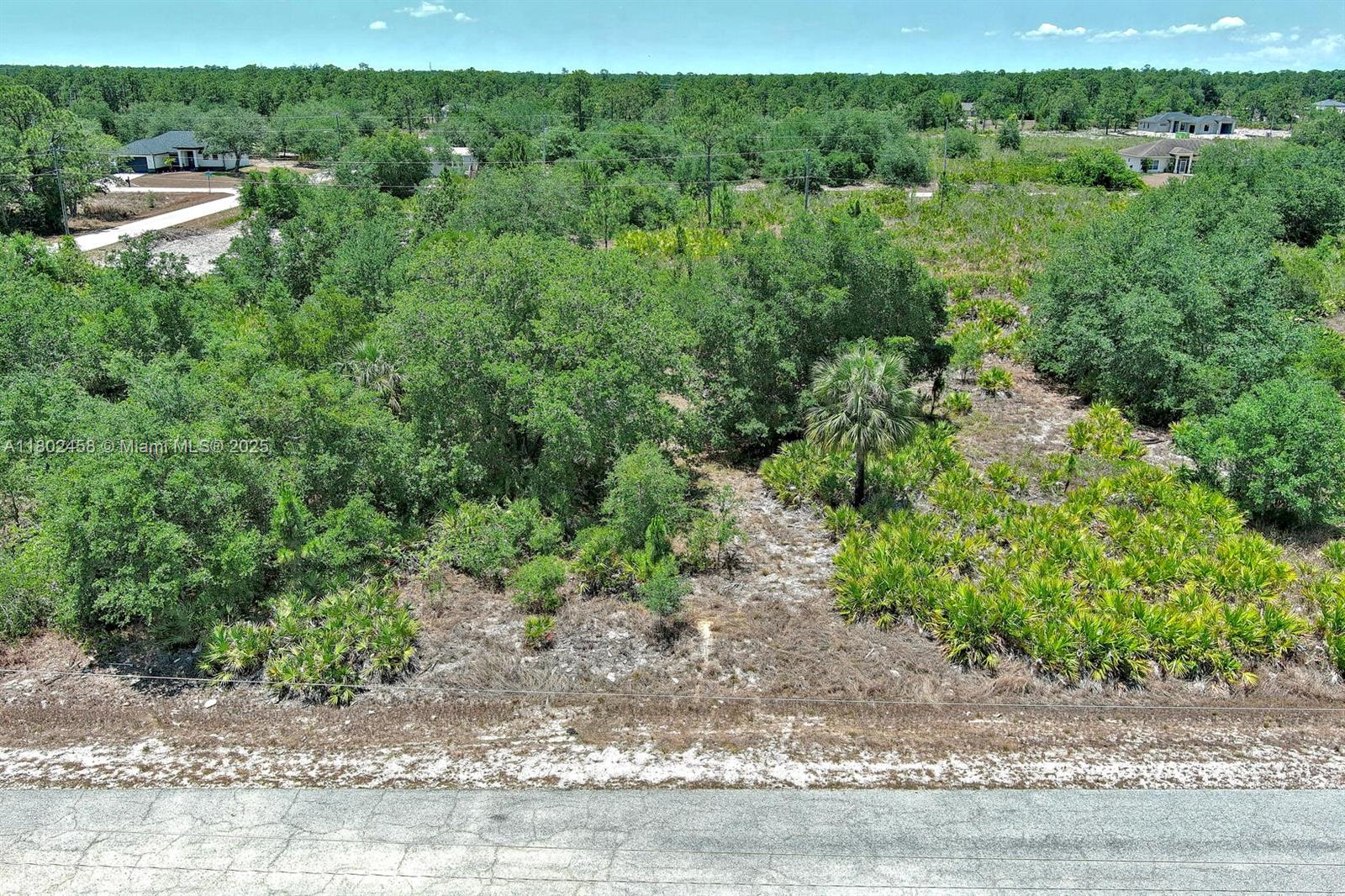 An elevated view shows a vacant, wooded lot with native vegetation and nearby residential houses — 603 FITCH AVE, Lehigh Acres FL 33972, LEHIGH ACRES, FL