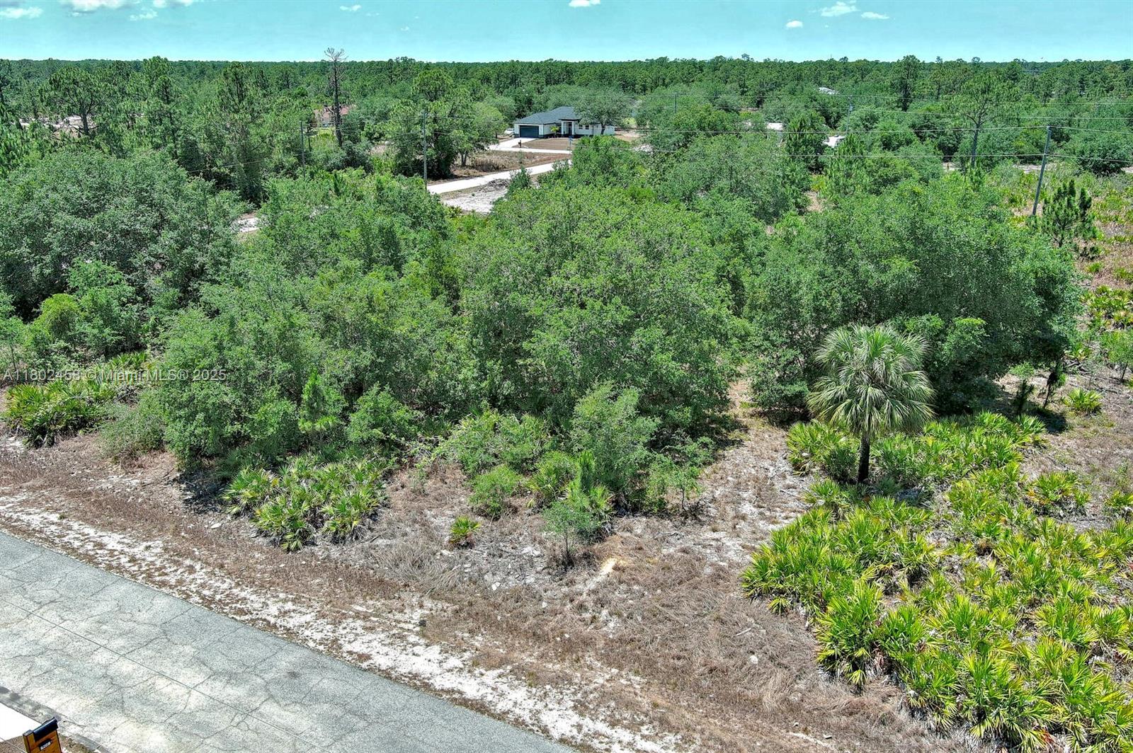 An aerial view shows a vacant, wooded lot with a paved road in the foreground — 603 FITCH AVE, Lehigh Acres FL 33972, LEHIGH ACRES, FL