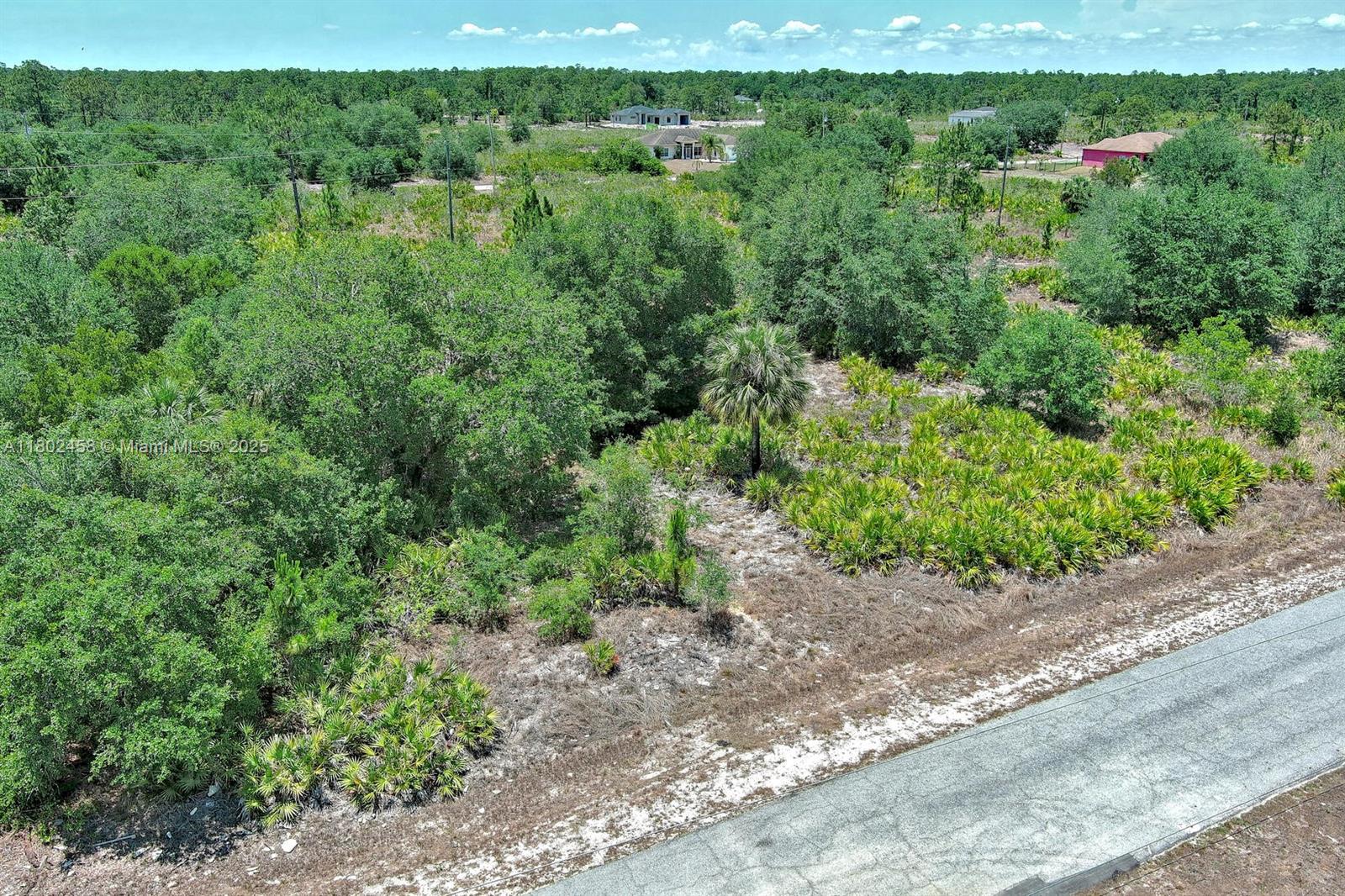 An aerial view shows a vacant, wooded lot adjacent to a paved road — 603 FITCH AVE, Lehigh Acres FL 33972, LEHIGH ACRES, FL