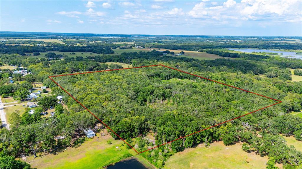 An aerial view shows a large, rectangular plot of forested land outlined in red — BRADLEY DRIVE, DADE CITY, FL
