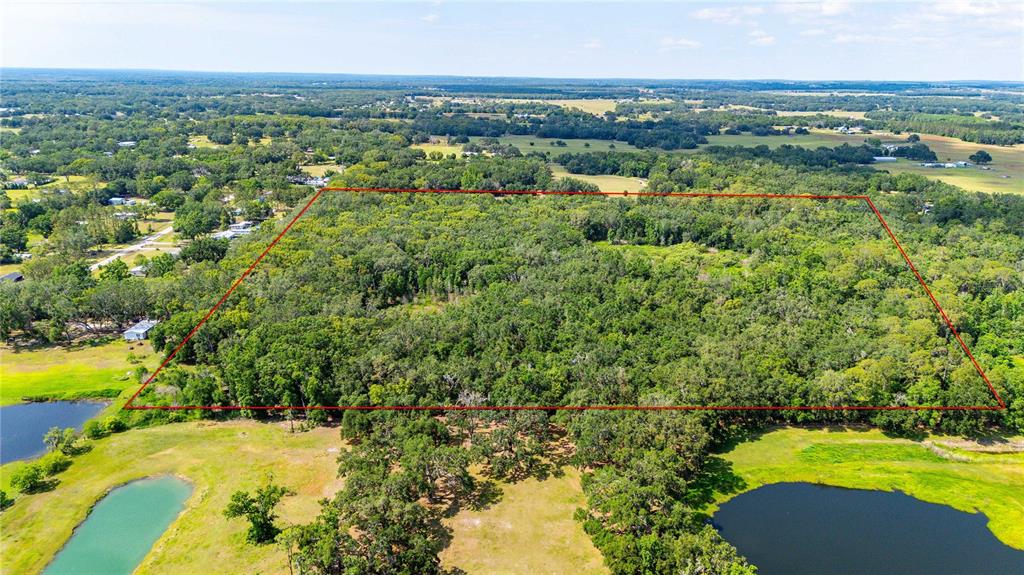 An aerial view shows a large, rectangular wooded lot outlined in red near two ponds — BRADLEY DRIVE, DADE CITY, FL