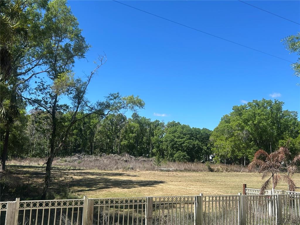 A fenced, grassy lot features scattered trees and a dense wooded area in the background — 1565 CREEK ROAD, WESLEY CHAPEL, FL