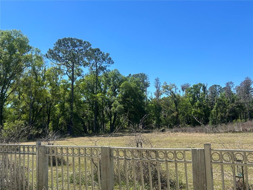 A tan metal fence borders a grassy field backed by a line of mature trees — 1565 CREEK ROAD, WESLEY CHAPEL, FL