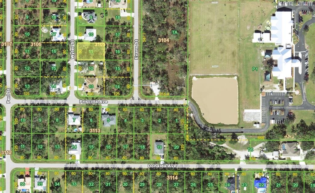 This is a satellite map showing residential lots, streets, and a pond — 366 WYLER STREET, PORT CHARLOTTE, FL