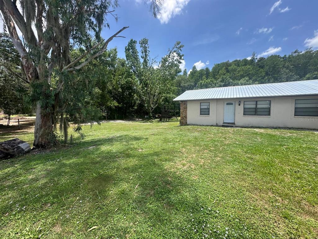 A single-story house with a metal roof sits beside a large tree and lawn — 17042 NATURE TRAIL, LUTZ, FL