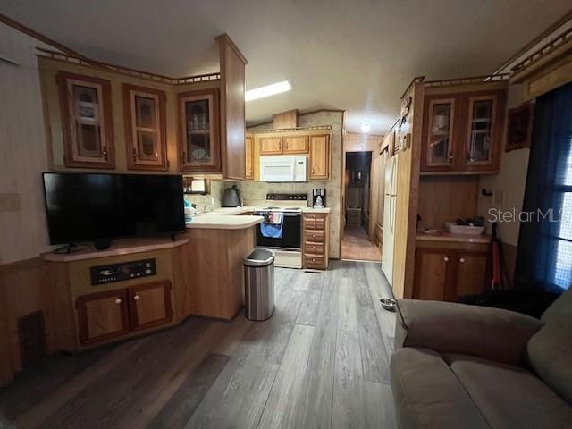 A kitchen and living area featuring wood cabinetry, a television, and light-colored wood-look flooring — 70 FAIRVIEW DRIVE S, HAINES CITY, FL