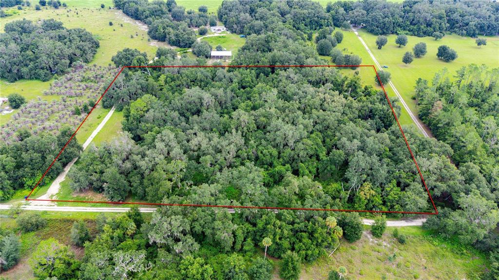 An aerial view shows a rectangular plot of land densely covered with trees and vegetation — SE 44 PLACE, BUSHNELL, FL