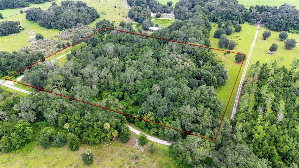 An aerial view shows a rectangular wooded lot outlined in red within a rural landscape — SE 44 PLACE, BUSHNELL, FL