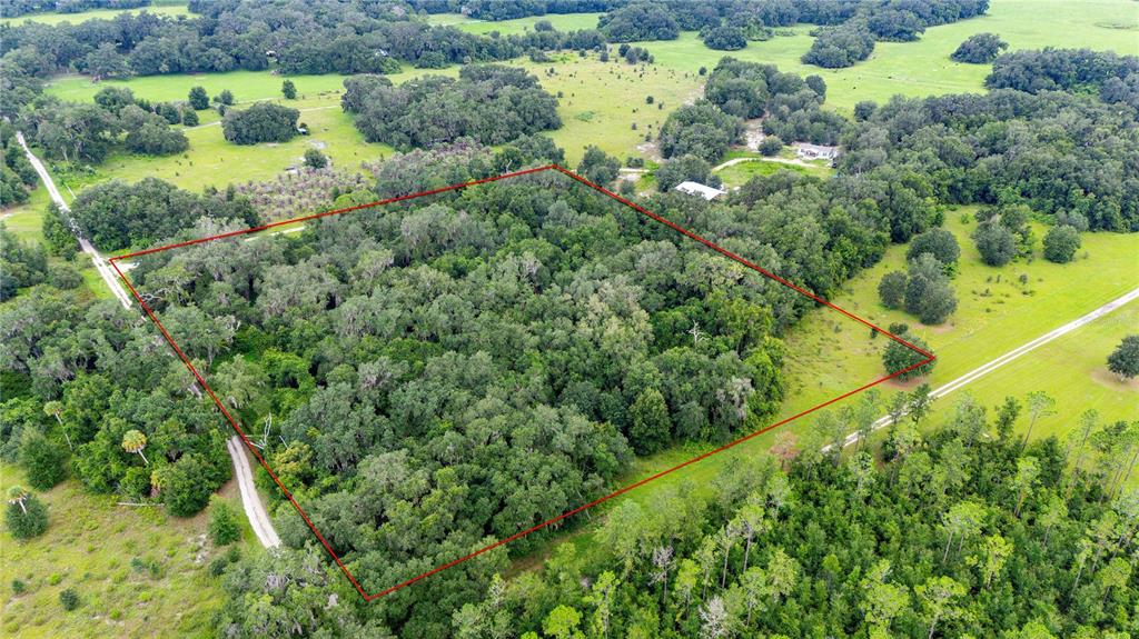 An aerial view shows a rectangular plot of dense forest outlined in red — SE 44 PLACE, BUSHNELL, FL