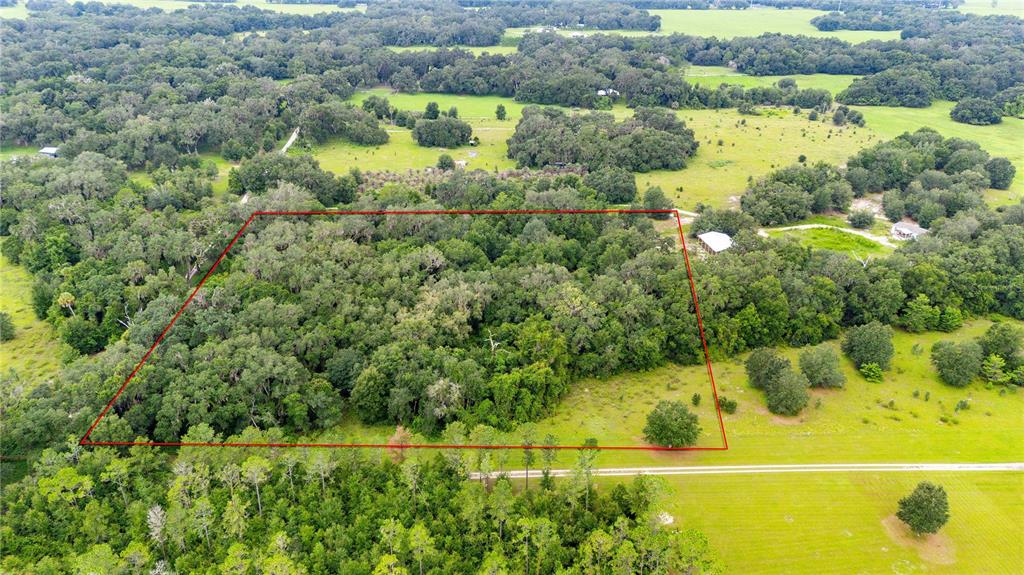 An aerial view shows a rectangular plot of land outlined in red amidst wooded acreage — SE 44 PLACE, BUSHNELL, FL