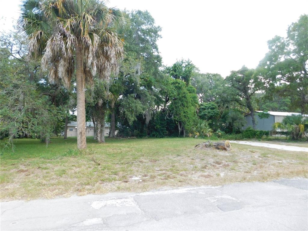 A vacant, grassy residential lot features a palm tree, mature trees, and a tree stump — Lot 143 & 145 INWOOD DRIVE, HUDSON, FL